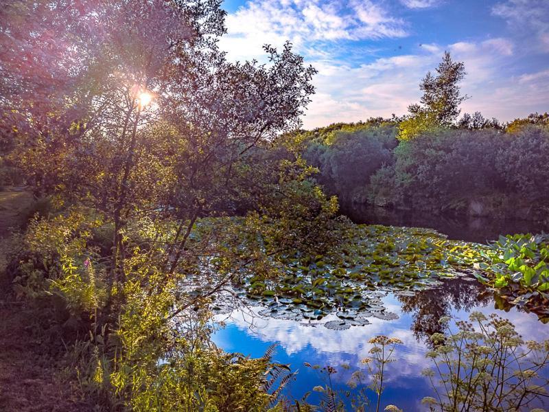Trecombe Lakes Camborne Exterior photo